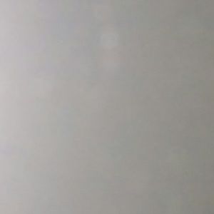 Meet your Posher, Tazia